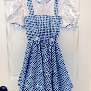 Dorothy Wizard of Oz dress - Girls size M - Sparkly! Halloween costume